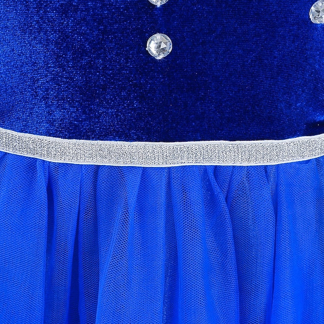 Girl Frozen Princess Elsa Party Flower Dress Fairytale Theme