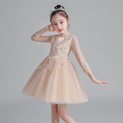 Dress Princess Kid's Flower Girl Girls'