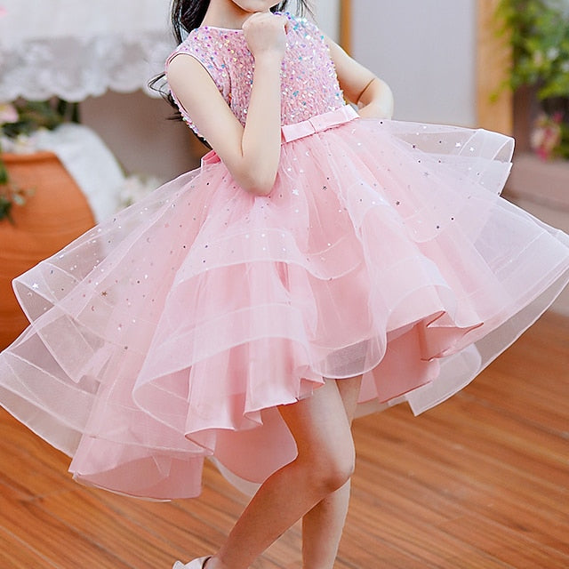 Flower Princess Girl Girls' Party Dress