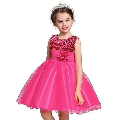 Flower Party Girl Girls' Dress Wedding