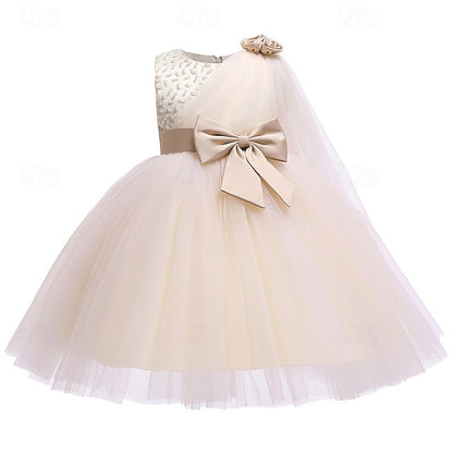 Flower Princess Dress Girls' Kid's Girl