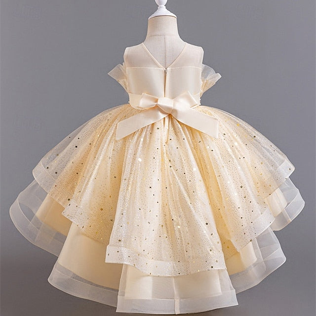 Kid's Girls' Princess Flower Girl Dress