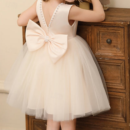 Color Solid Kids Wedding Girls' Party Sleeveless Dress