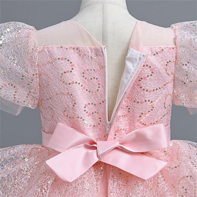 Girls' Performance Wedding Party Dress Flower Girl