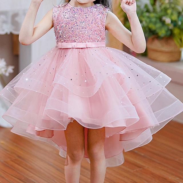 Flower Princess Girl Girls' Party Dress