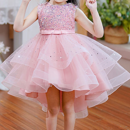 Flower Princess Girl Girls' Party Dress