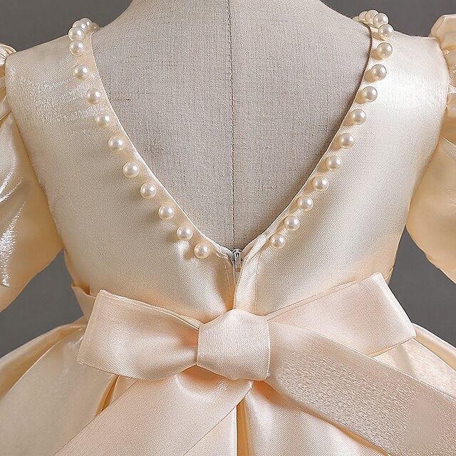 Girls' Flower Dress Party Wedding Special Girl