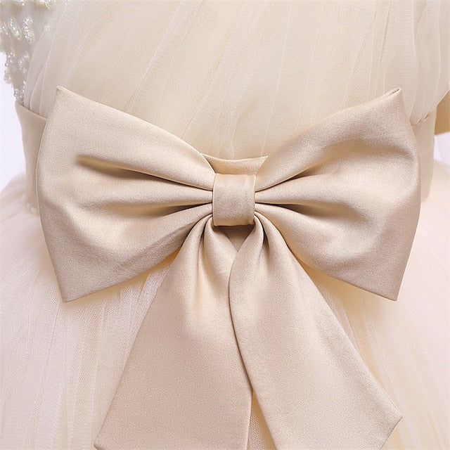 Flower Girl Kid's Girls' Princess Dress