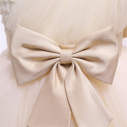 Flower Girl Kid's Girls' Princess Dress