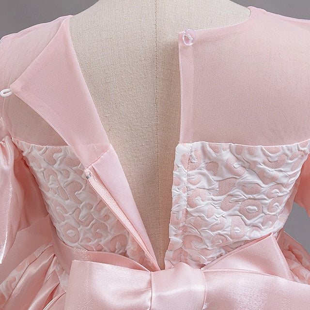 Girl Dress Flower Wedding Formal Girls' Party