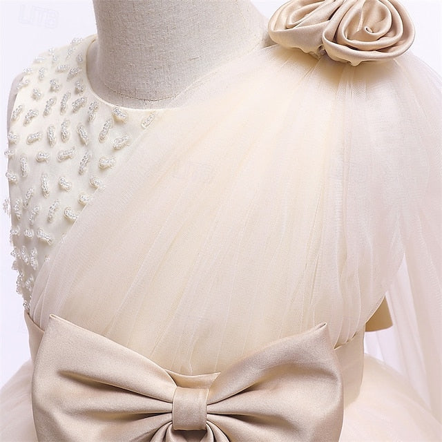 Flower Girl Kid's Girls' Princess Dress