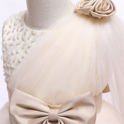 Flower Princess Dress Girls' Kid's Girl