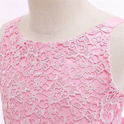 Girl Girls' Kid's Flower Princess Dress