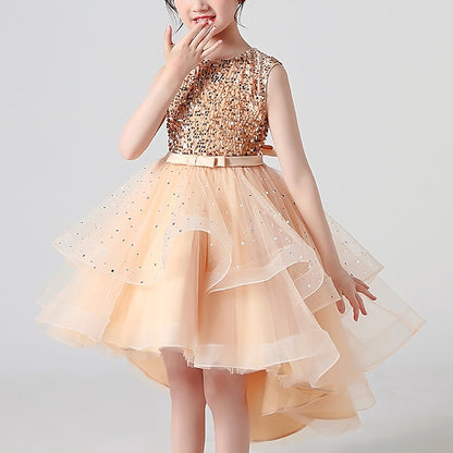 Flower Princess Girl Girls' Party Dress