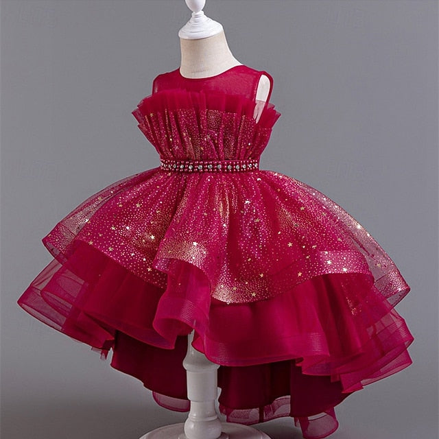 Kid's Girls' Princess Flower Girl Dress