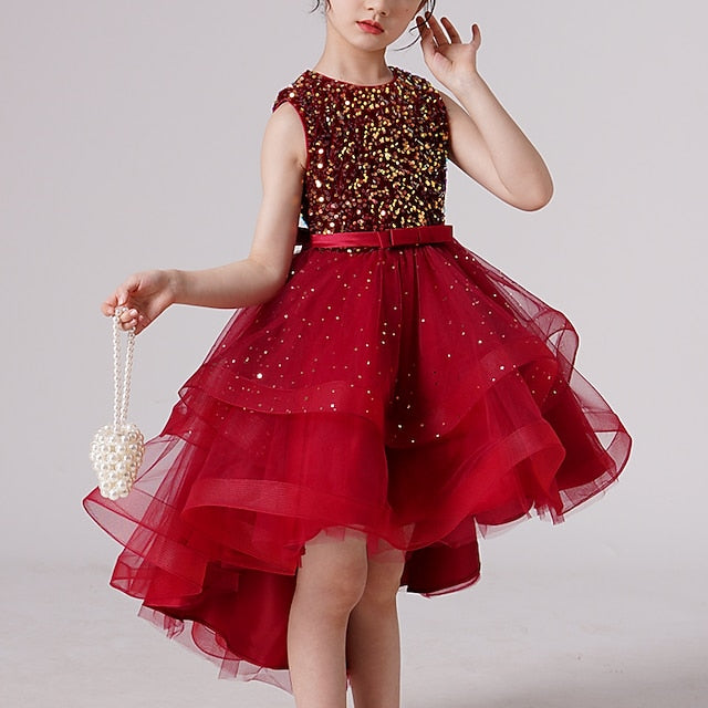 Flower Princess Girl Girls' Party Dress