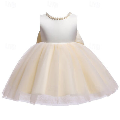 Girl Princess Flower Kid's Girls' Dress