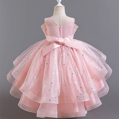 Kid's Girls' Princess Flower Girl Dress