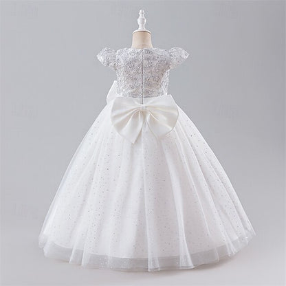 Dress Princess Kid's Girl Flower Girls'
