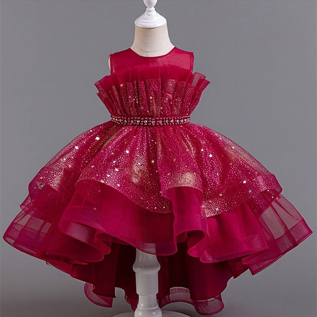 Kid's Girls' Princess Flower Girl Dress