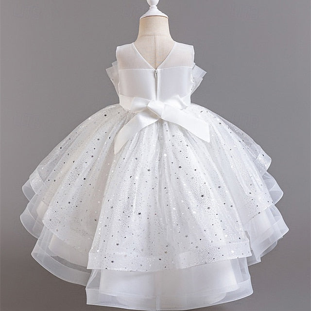 Kid's Girls' Princess Flower Girl Dress