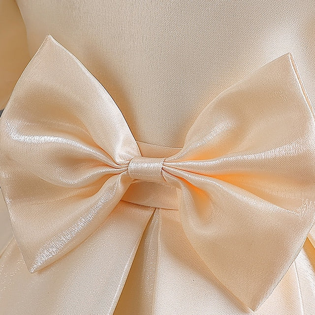 Girls' Flower Dress Party Wedding Special Girl