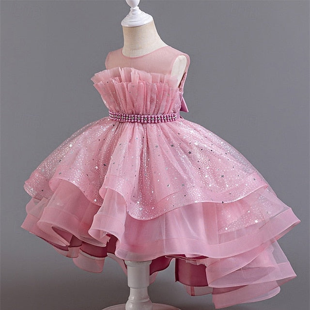 Kid's Girls' Princess Flower Girl Dress