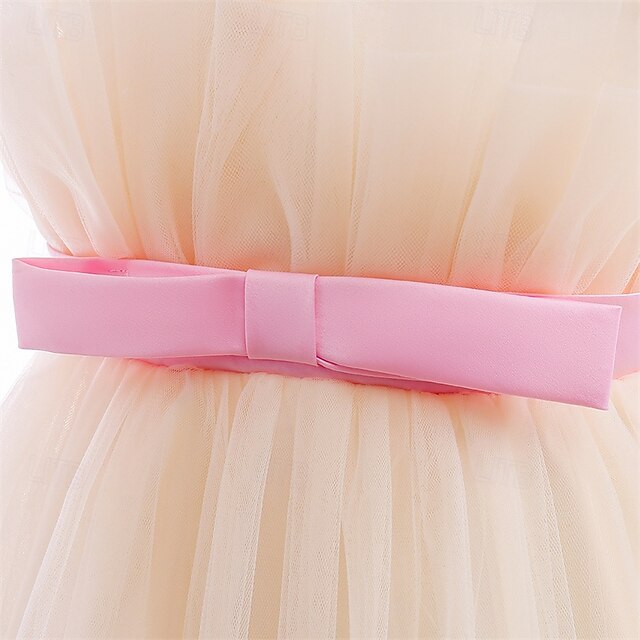Flower Dress Kid's Girl Princess Girls'