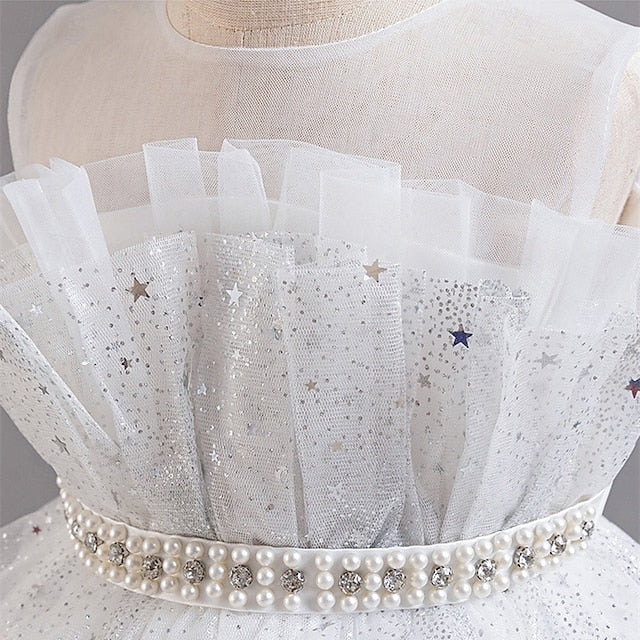 Kid's Girls' Princess Flower Girl Dress