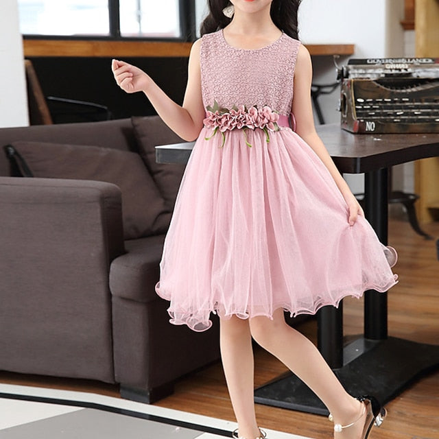 Dress Girls' Flower Girl Party Performance