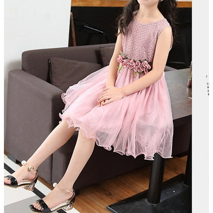 Dress Girls' Flower Girl Party Performance